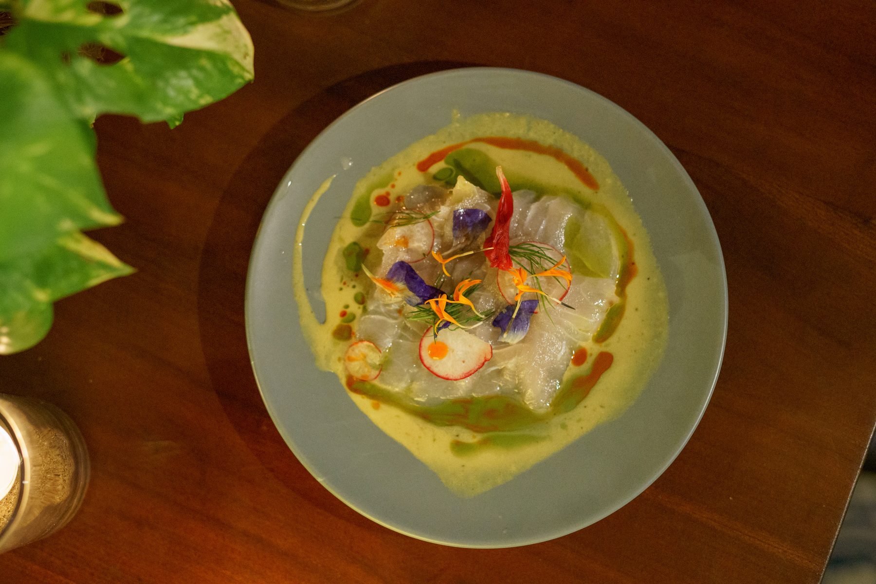 Ceviche with citrus and herbs